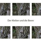 Der Kleiber und die Beere