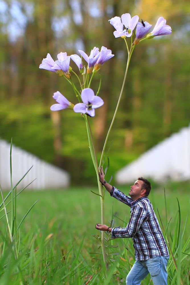 Der kleine Abenteurer Foto & Bild composing, digiart,