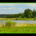 Der kleine Anfang am Hopfensee