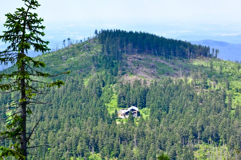 Der Kleine Arber mit der Chamerhütte…