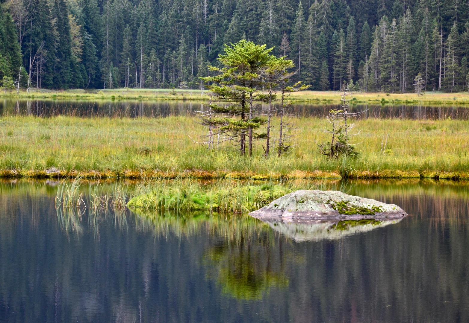 Der Kleine Arbersee…