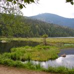 Der Kleine Arbersee mit seinen schwimmenden Inseln