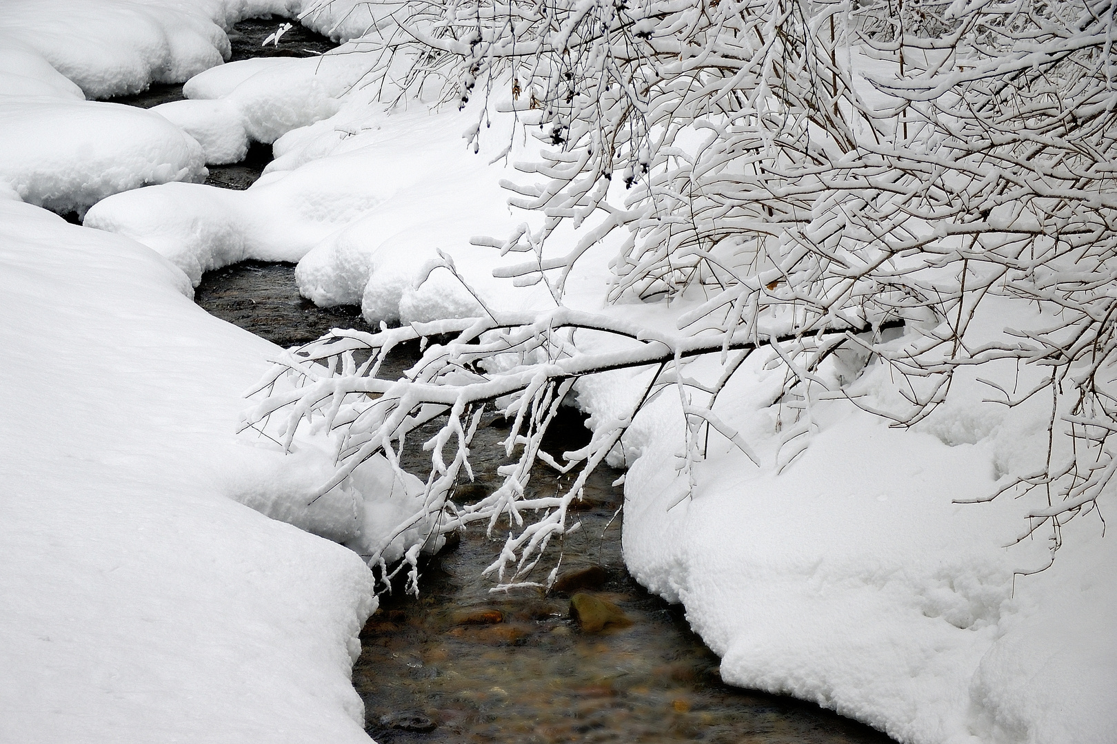 Der kleine Bach