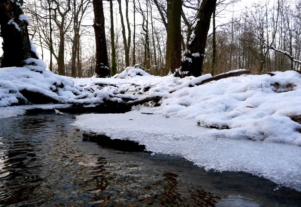 der kleine Bach