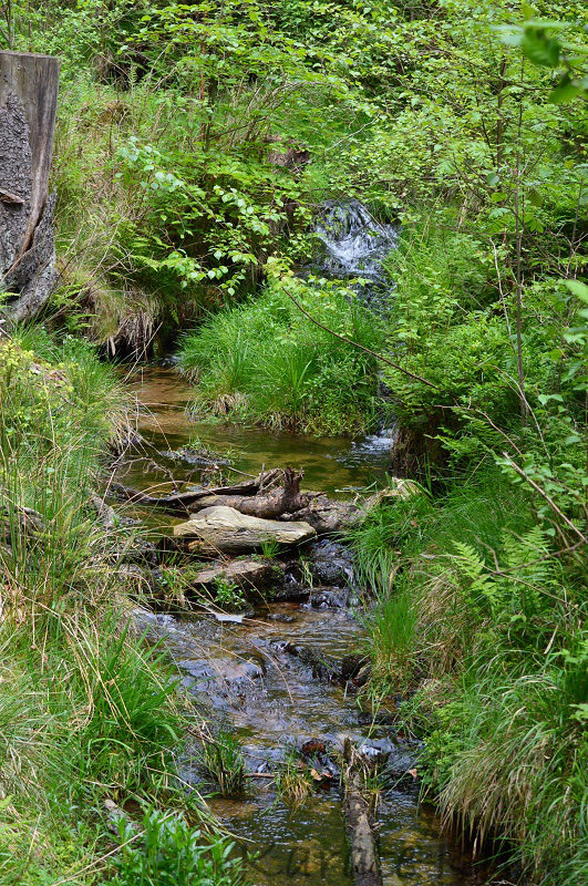 Der kleine Bach