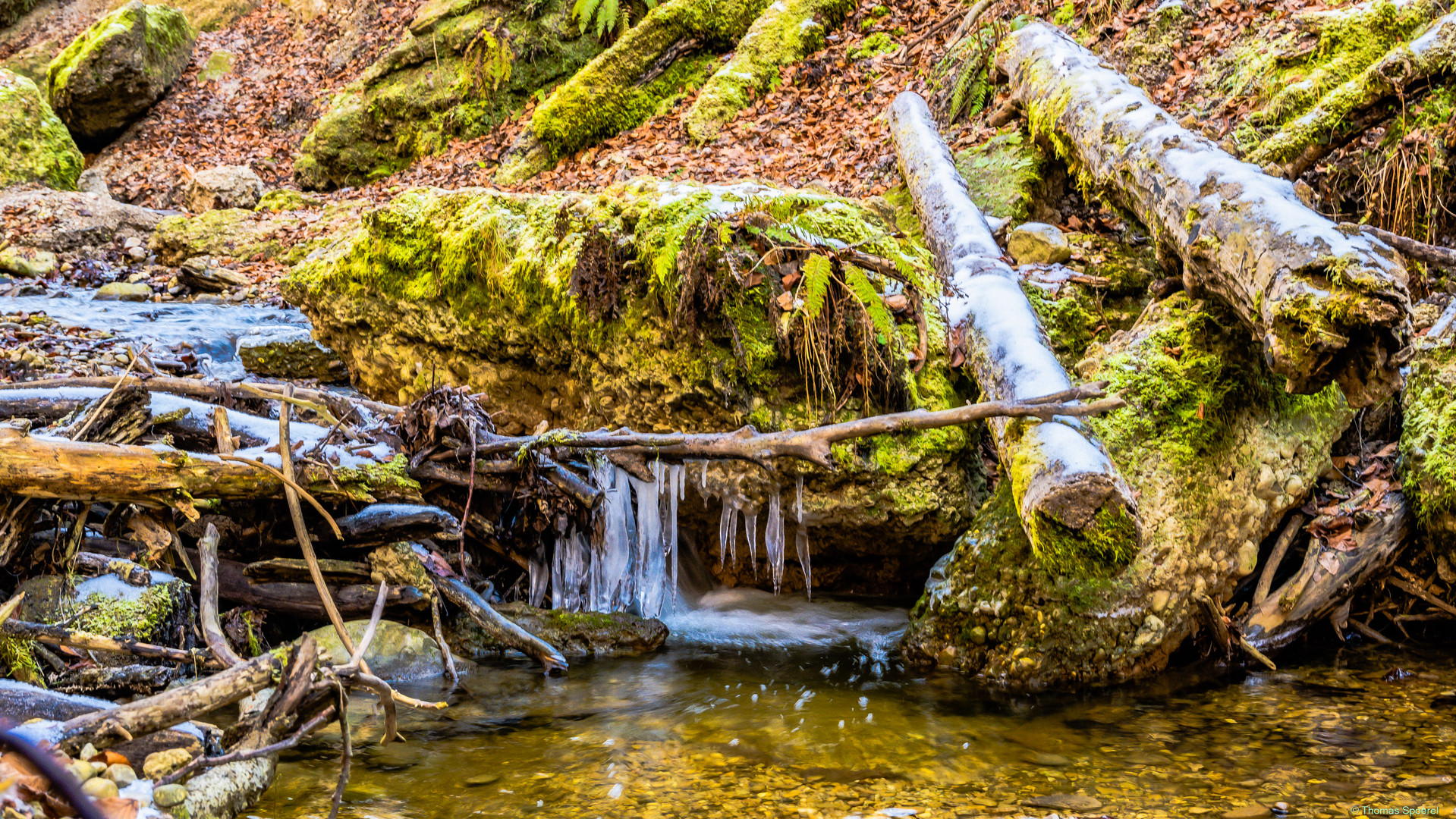 der kleine Bach