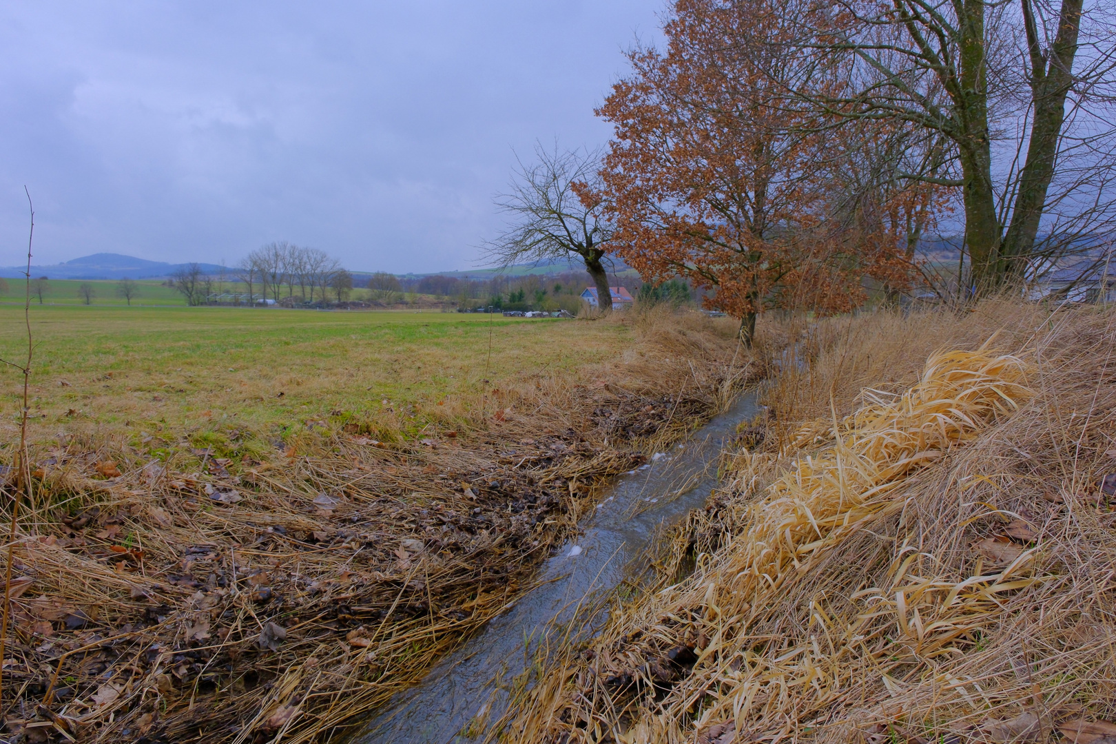 der kleine Bach