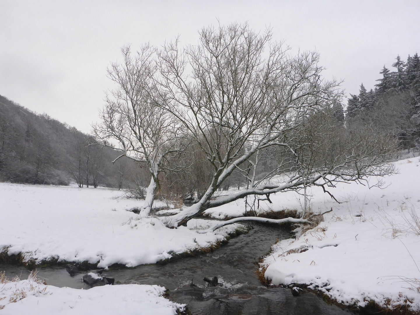 Der kleine Bach