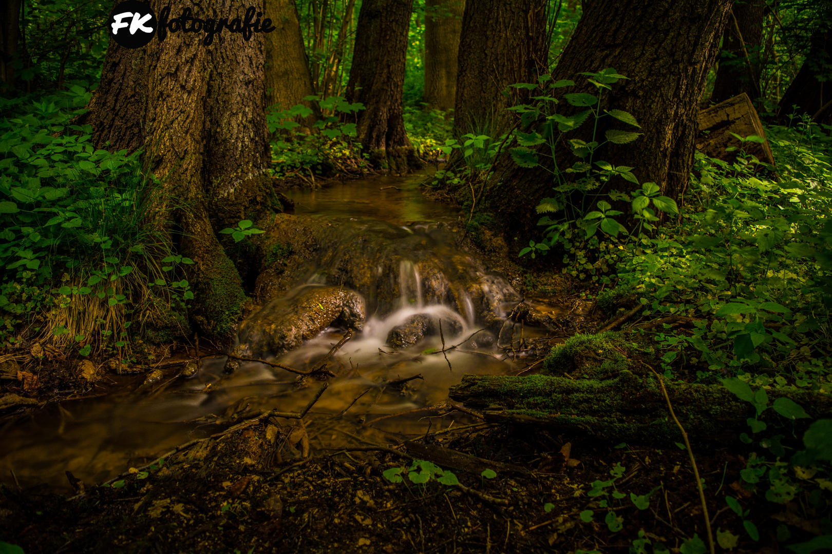 Der kleine Bach im Wald