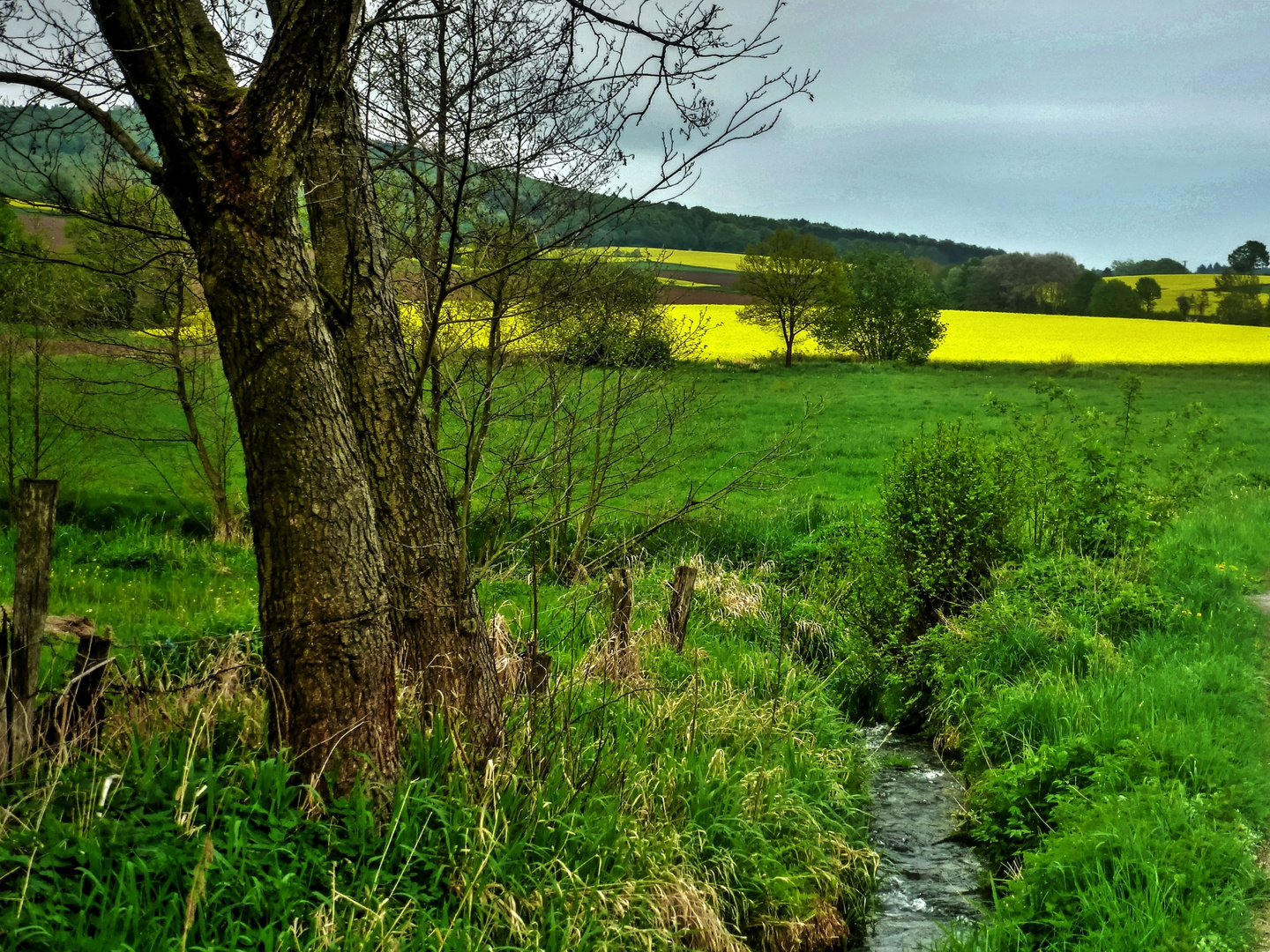 Der kleine Bach zwischen den Feldern