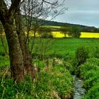 Der kleine Bach zwischen den Feldern