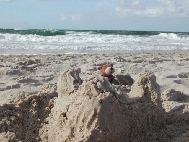 Der kleine Bär am Strand