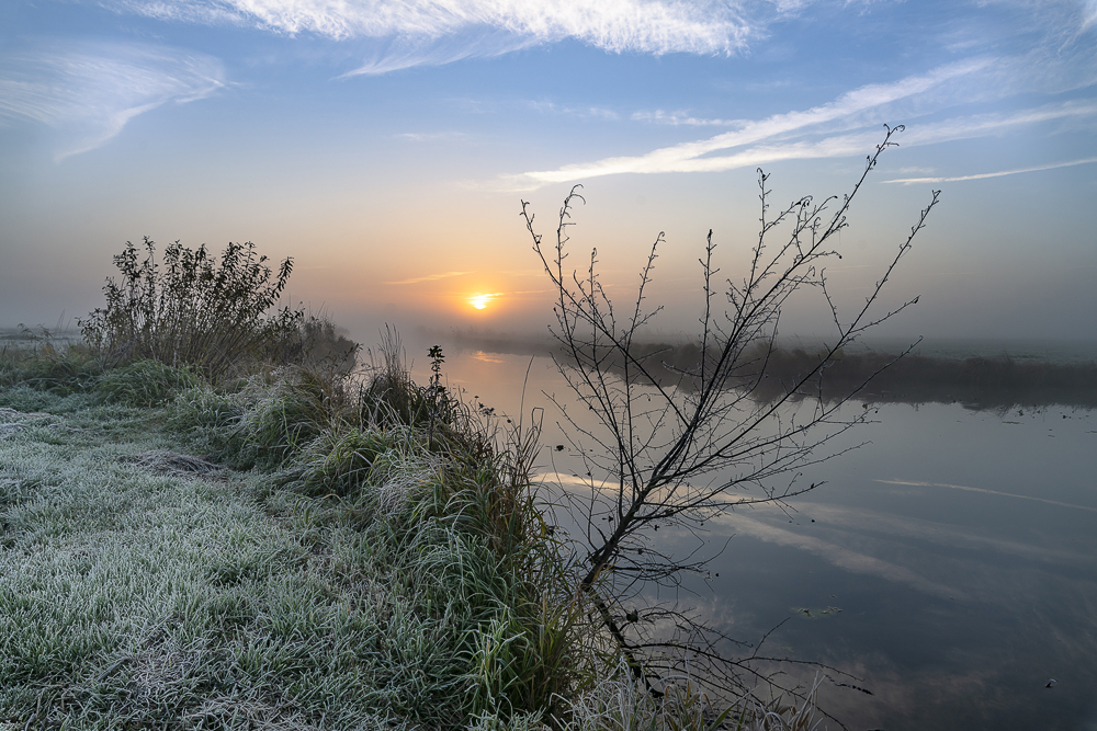 der kleine Baum Foto & Bild landschaft, moor, sonnenaufgänge Bilder