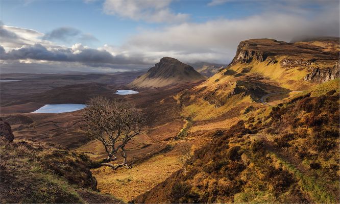 Der kleine Baum am Rande des Abgrunds