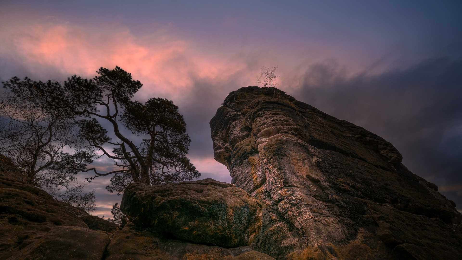 der kleine baum. Foto & Bild landschaft, sonnenuntergang, baum Bilder