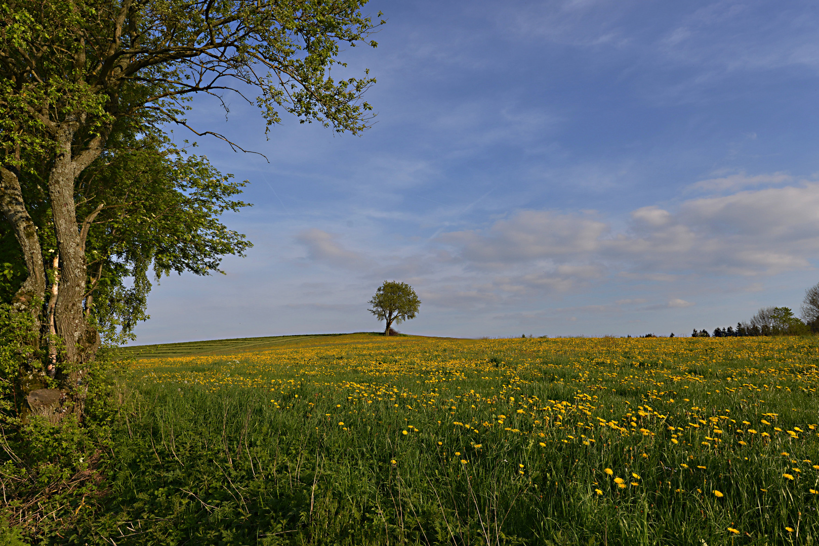 Der kleine Baum in der Ferne...... Foto & Bild landschaft, landschaft