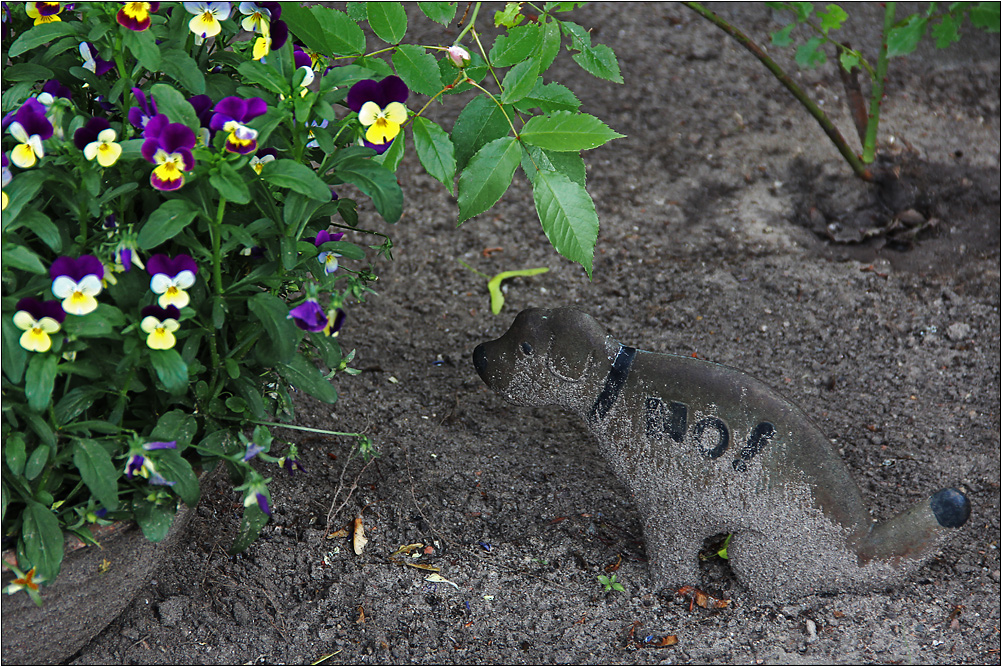 Der kleine Blumenfreund