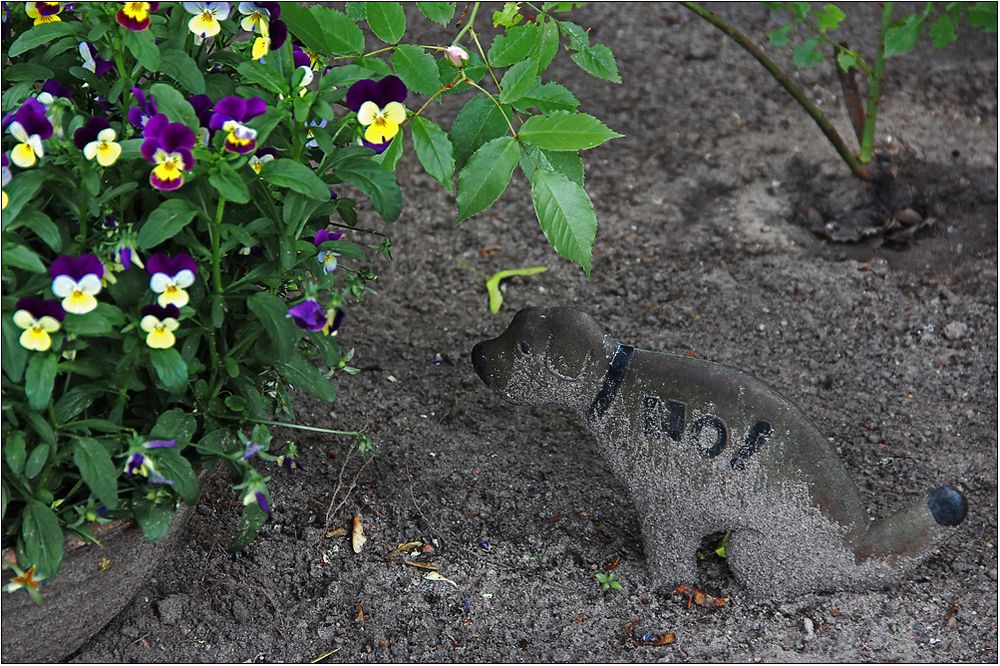 Der kleine Blumenfreund