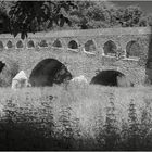 Der kleine Bruder des Pont du Gard...