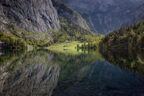 ...der kleine Bruder...