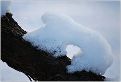 Der kleine Eisbär