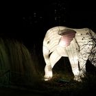 der kleine Elefant