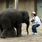 der kleine Elefant und sein Fotograf