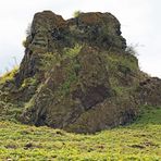 Der kleine Felsen blüht herrlich im Frühjahr