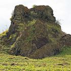 Der kleine Felsen blüht herrlich im Frühjahr