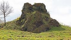 Der kleine Felsen blüht herrlich im Frühjahr