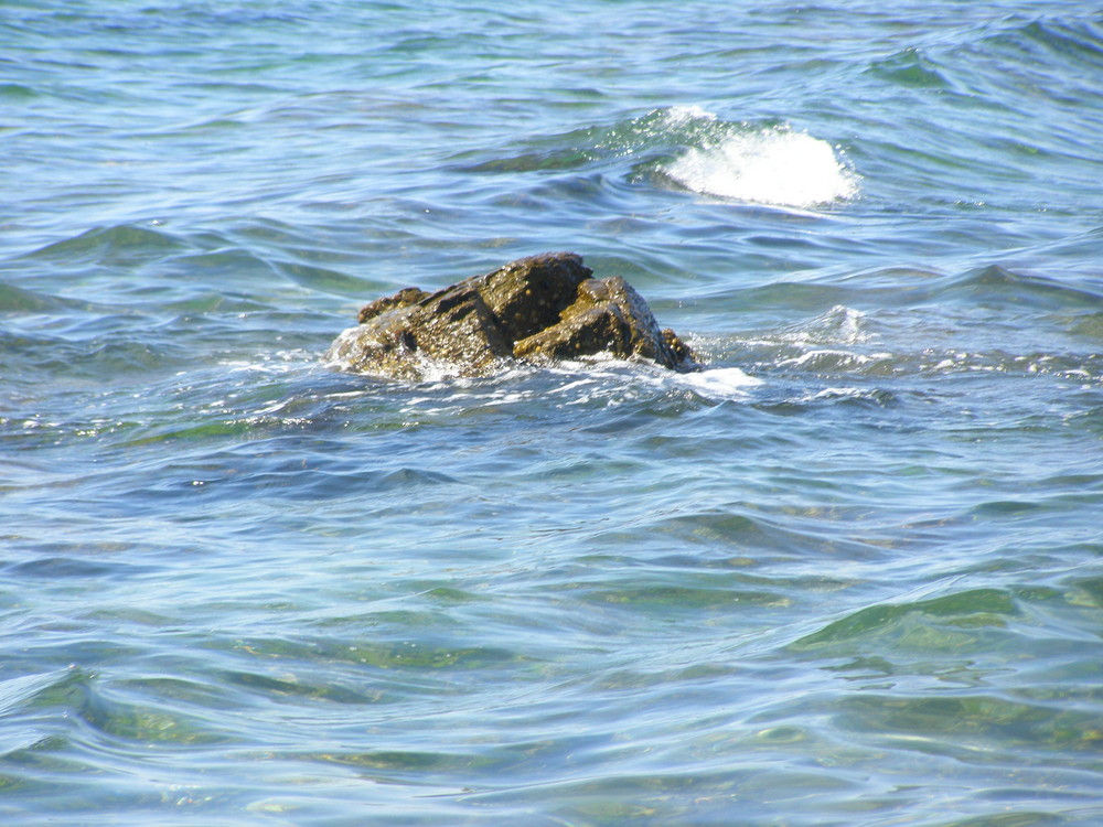 Der kleine Felsen im Meer