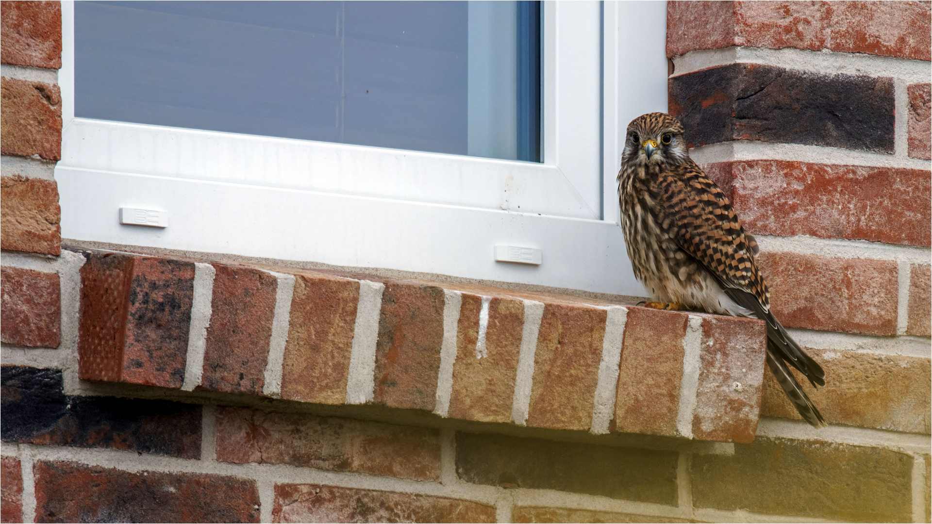 Der kleine Fensterbankhocker  .....