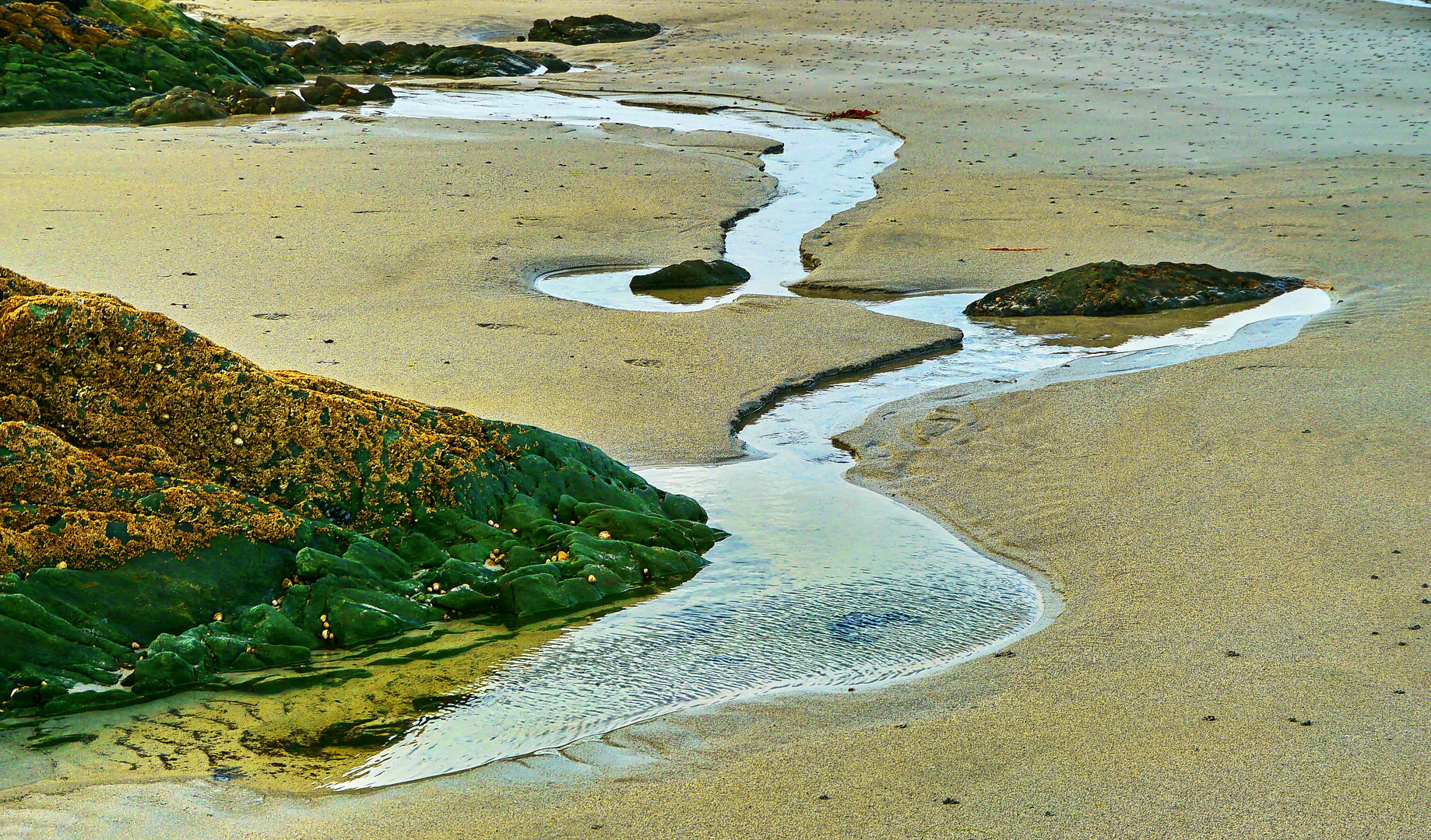 Der kleine Fluss am großem Strand