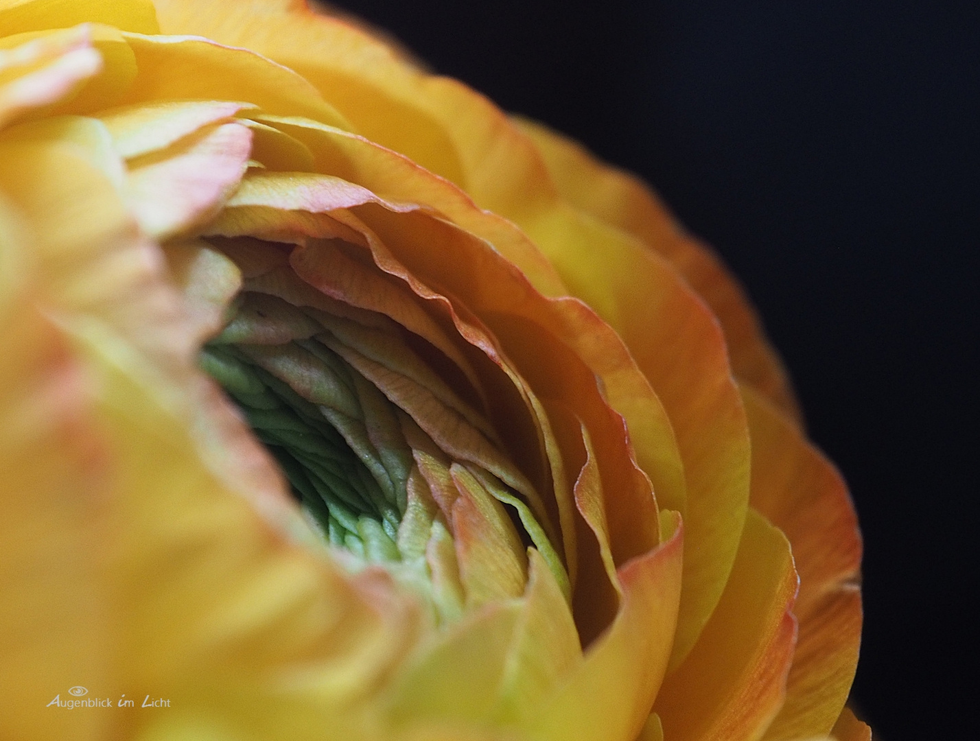 Der kleine Frühling im Wohnzimmer