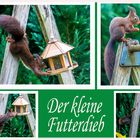 Der kleine Futterdieb