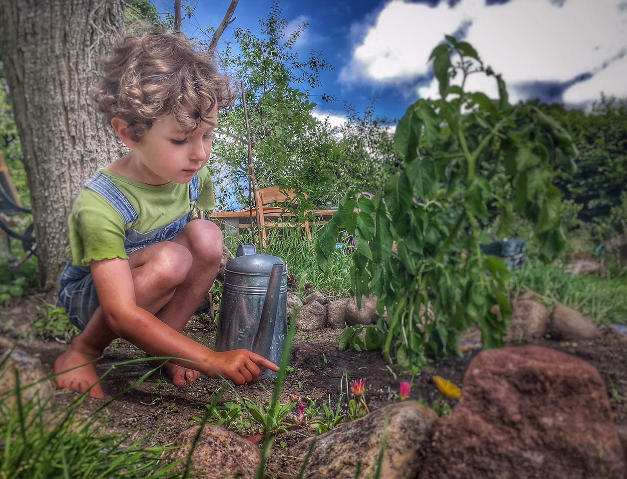 Der kleine Garten ...