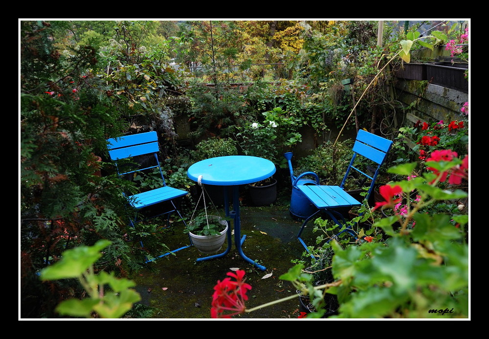 Der kleine Garten… Foto & Bild deutschland, europe