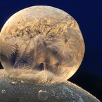 Der kleine goldene Planet (11/52)