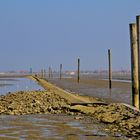 Der Kleine Hafen nach Balturm