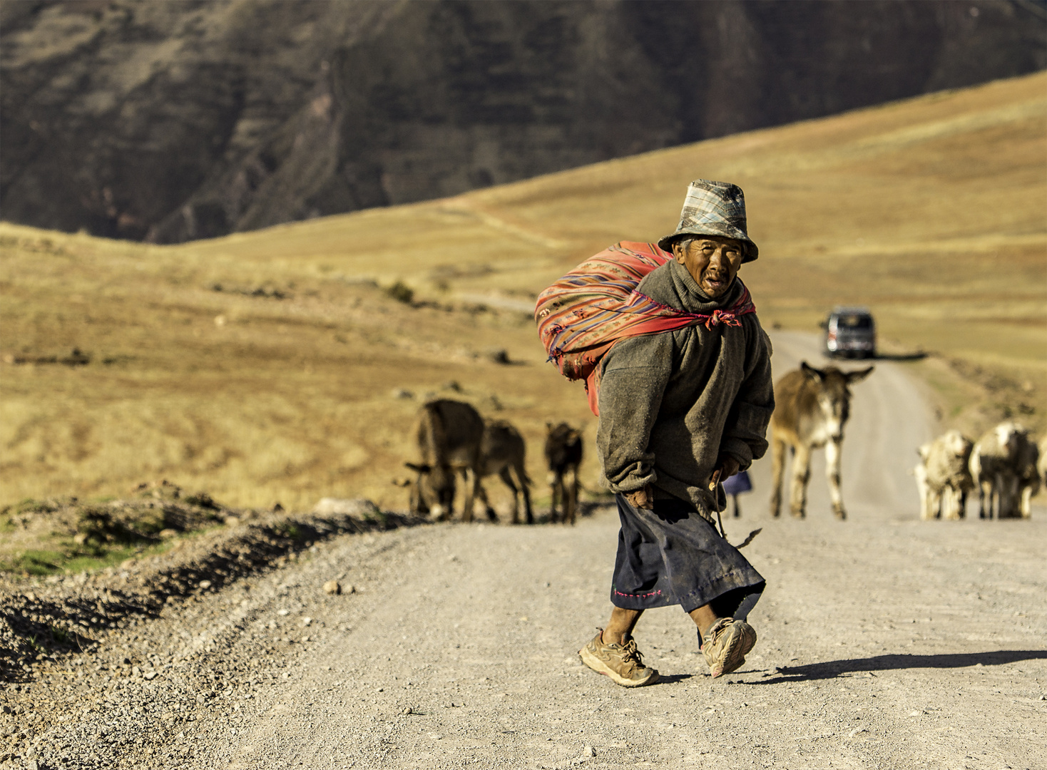 DER KLEINE HIRTE VON PERU