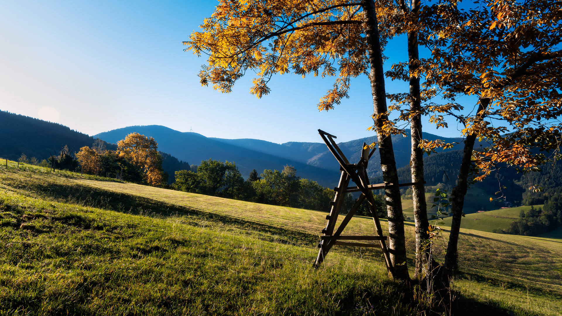 Der kleine Hochstand.