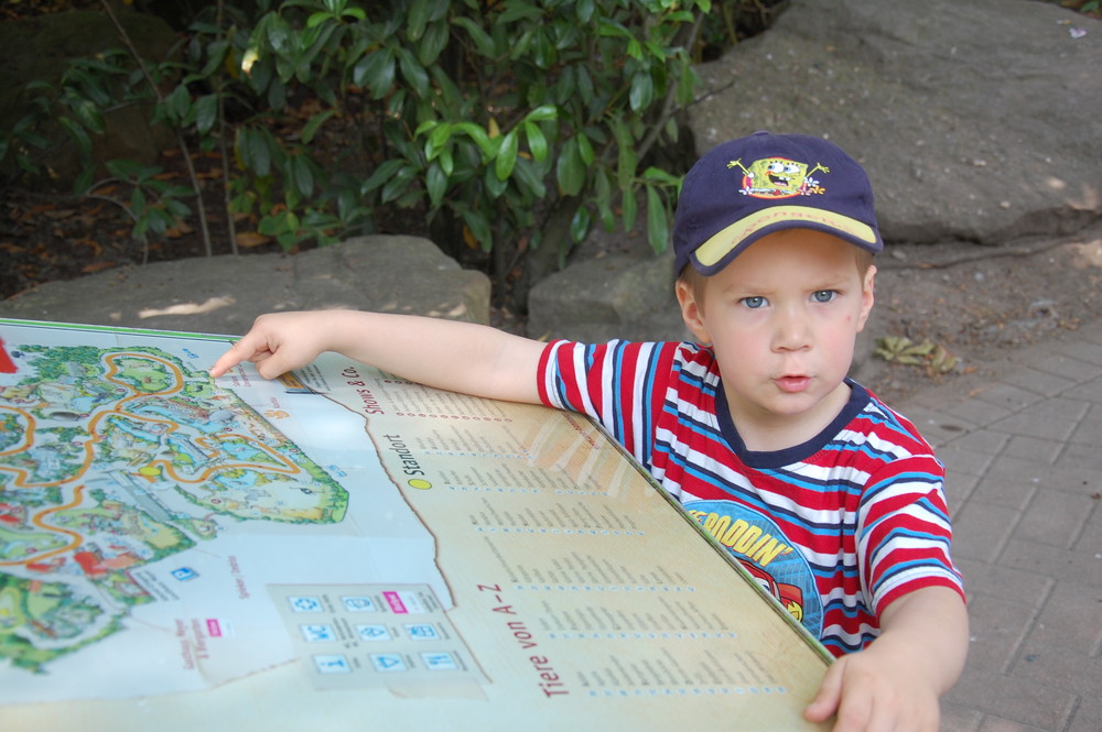 Der Kleine kennt sich aus; im Zoo Hannover.