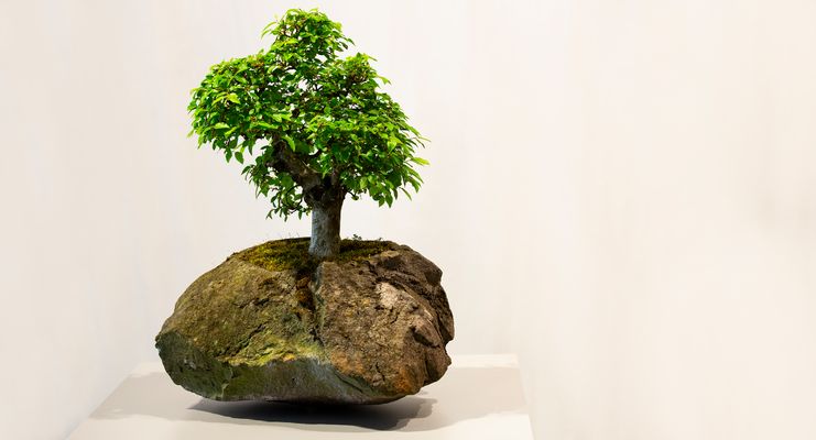 Allie Kommt Gross Raus Band 4