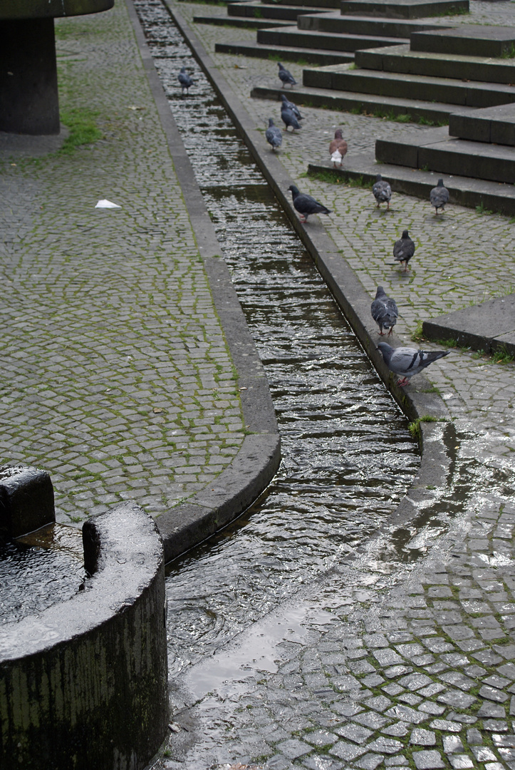 Der kleine Löwenbrunnen ...