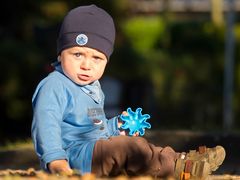 Der kleine Logan beim Eichel und Kastanien sammeln