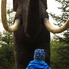 Der kleine Mann und das Mammut