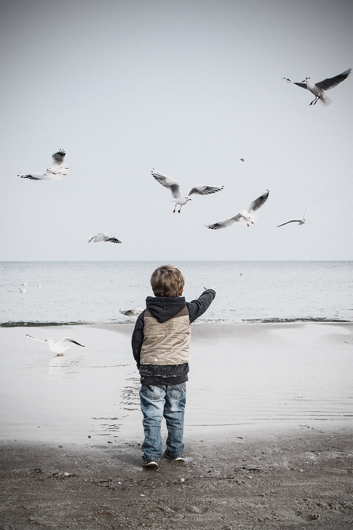 Der kleine Mann und das Meer