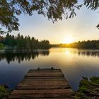 Der kleine Moorsee im schweizer Jura