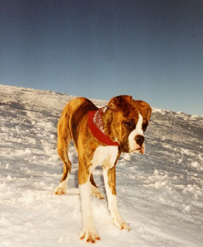 Der kleine Muck - Abenteuer im Schnee