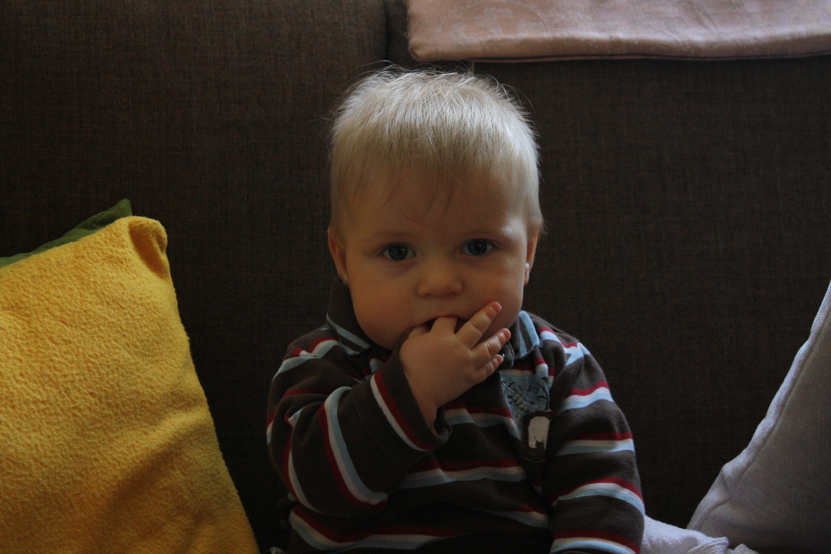 der kleine Poser :)